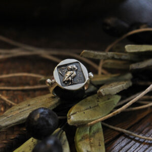 Δαχτυλίδι - Κουκουβάγια